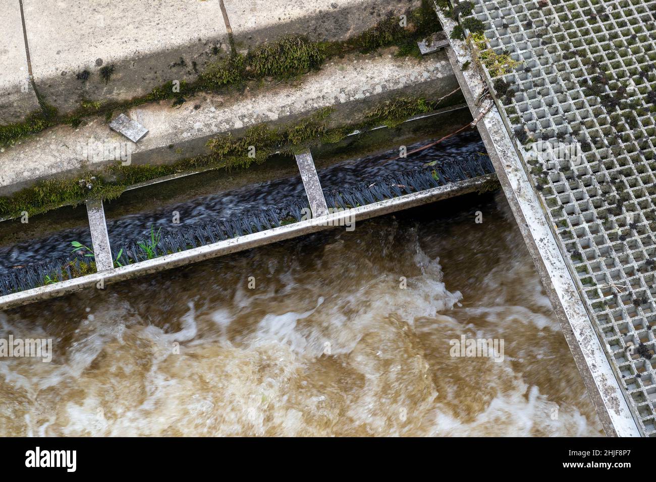 Eel and elver pass forming part of a fish pass on the River Wharfe at Boston Spa in West Yorkshire Stock Photo