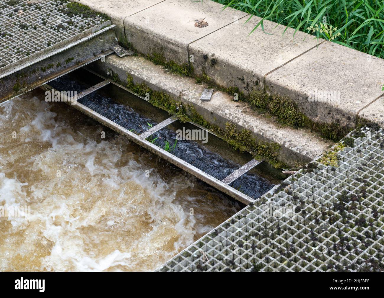 Eel and elver pass forming part of a fish pass on the River Wharfe at Boston Spa in West Yorkshire Stock Photo