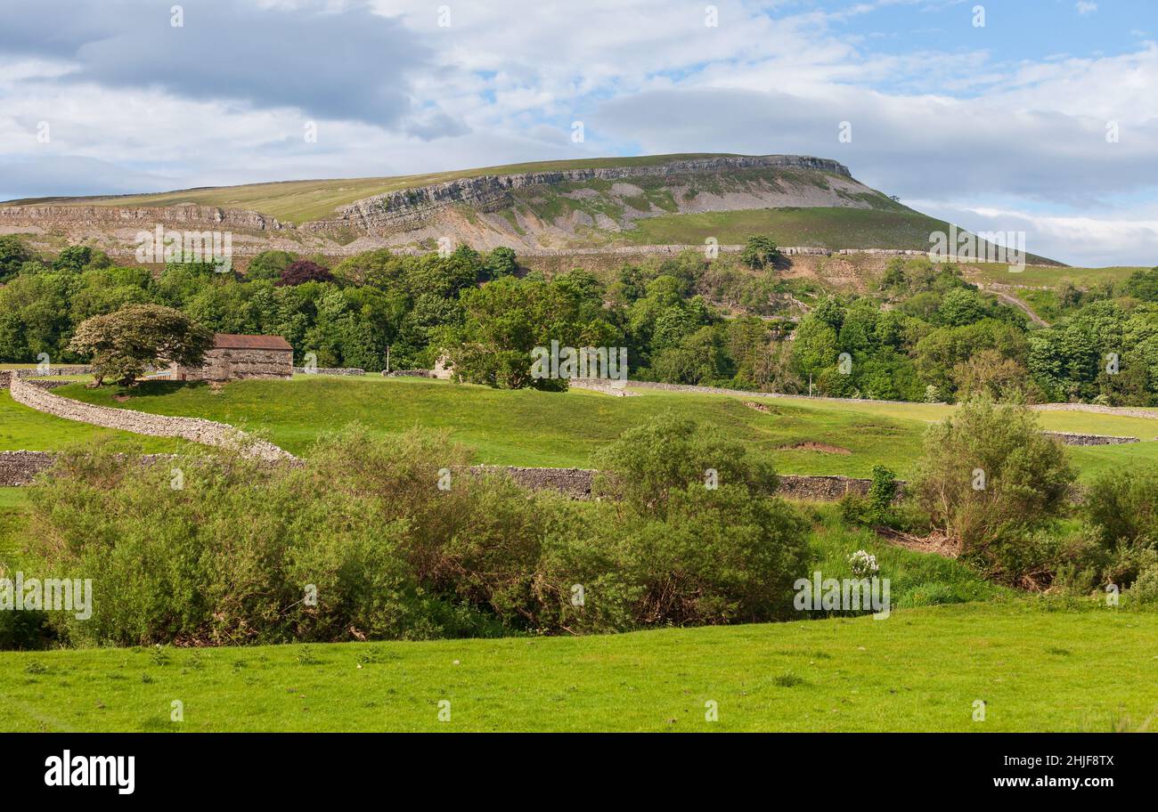 Scenic view of meadows, woods, field barns and limestone crags near Aysgarth in Wensleydale Stock Photo