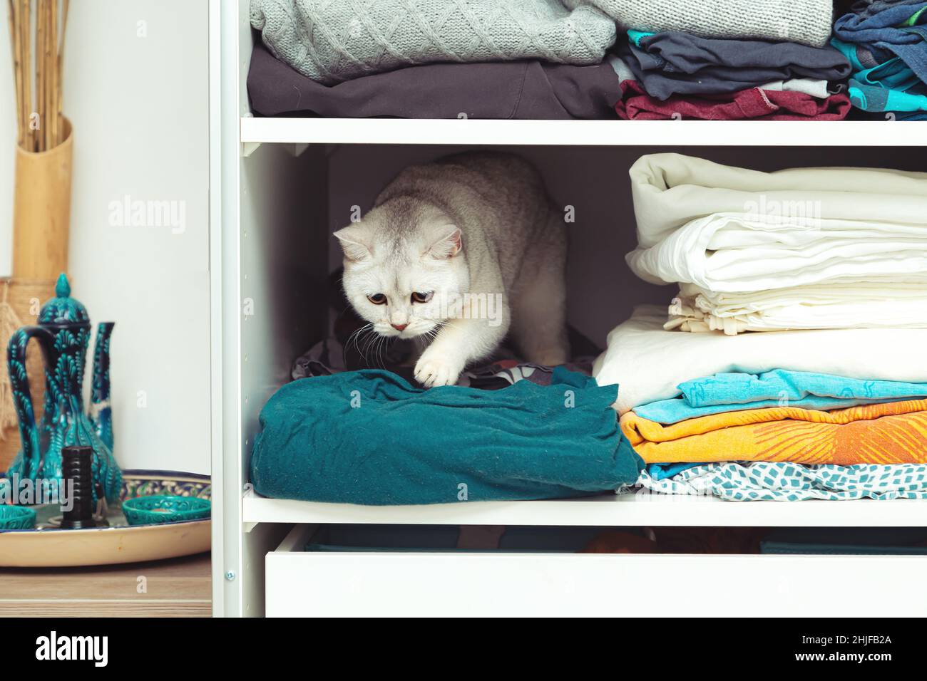 Hiding in closet hires stock photography and images Alamy