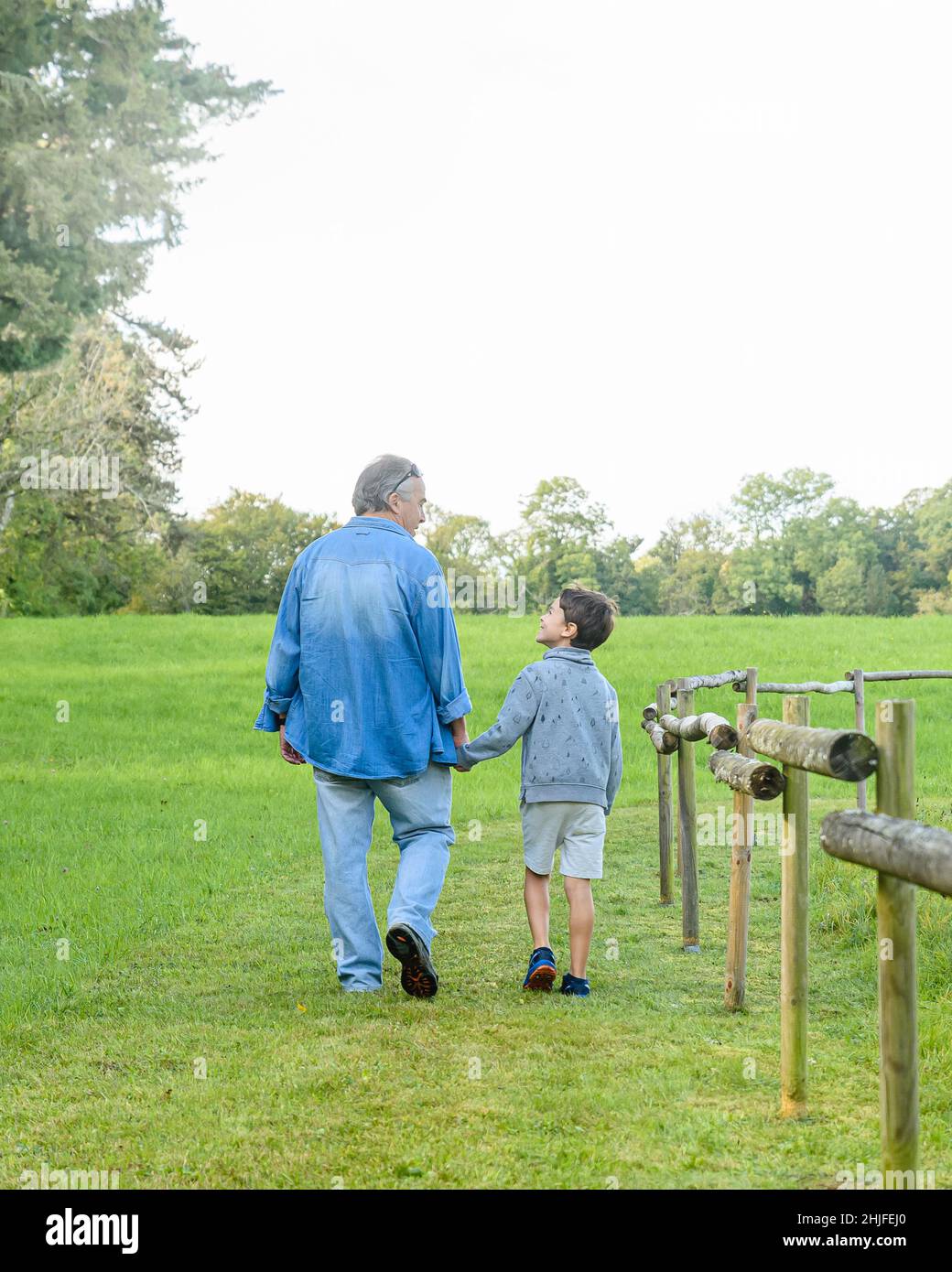 Vertical view of boy and senior man smiling and walking together in green meadow Stock Photo