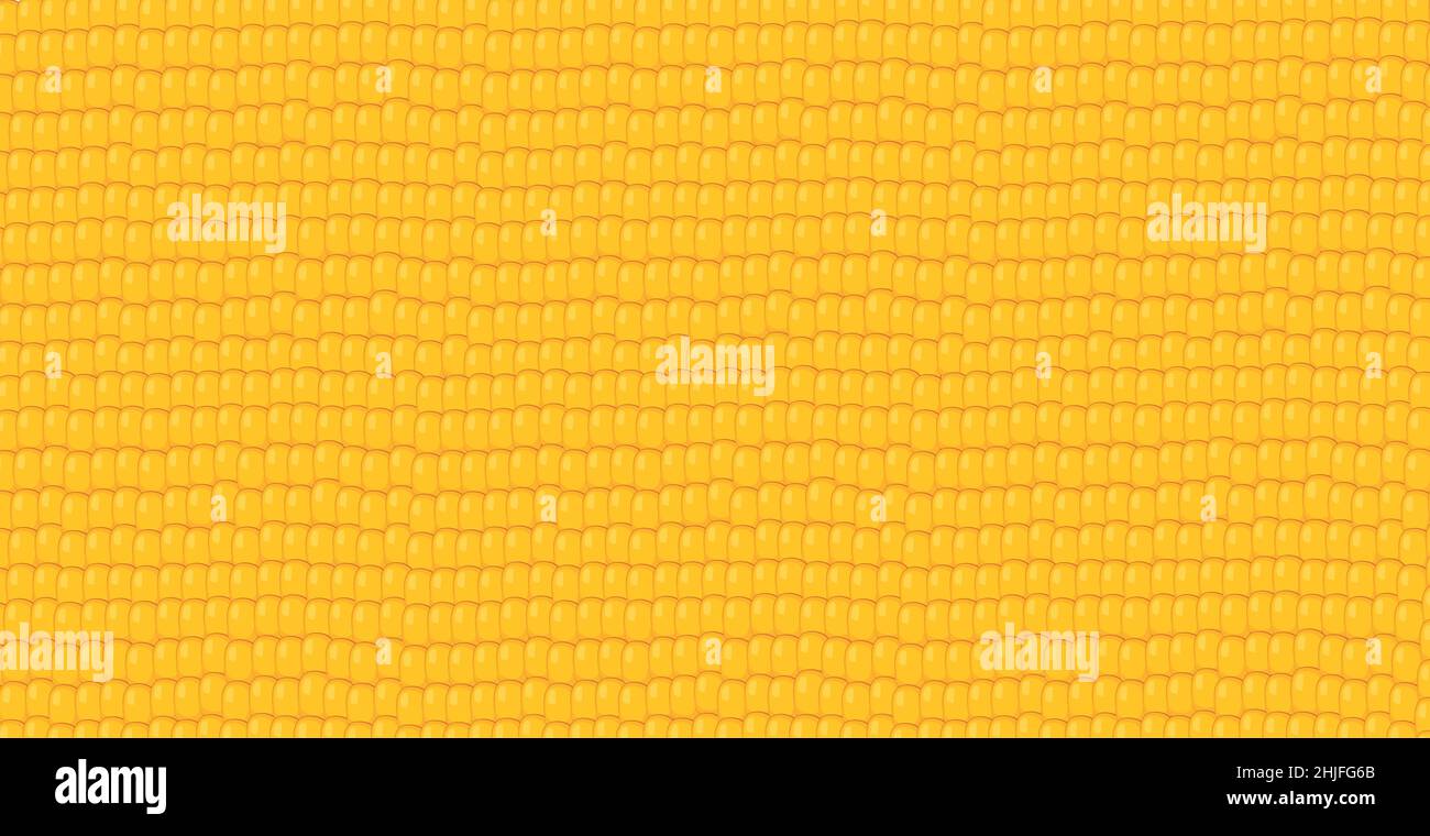 Panoramic yellow - orange corn grain background - Vector illustration Stock Vector