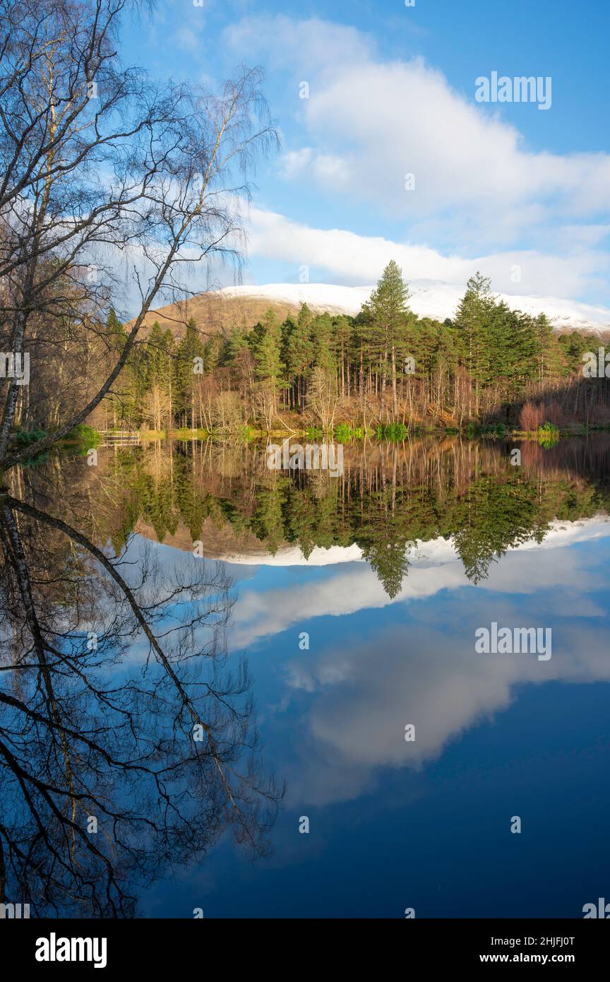 Glencoe lochan in Scottish Highlands in winter. Mirror reflection of trees, blue sky and forest in water. No people. Stock Photo