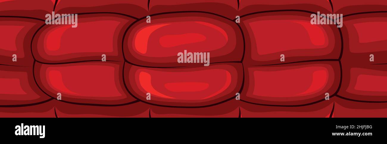 Salami Pattern Panoramic red fresh salami sausage pattern - Vector illustration Stock ...