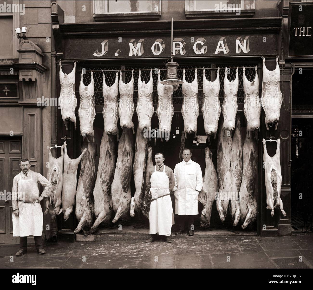 A vintage photograph of a traditional Butcher's shop with staff and pig carcases in Broad Street, Waterford, Ireland, 1916. Stock Photo
