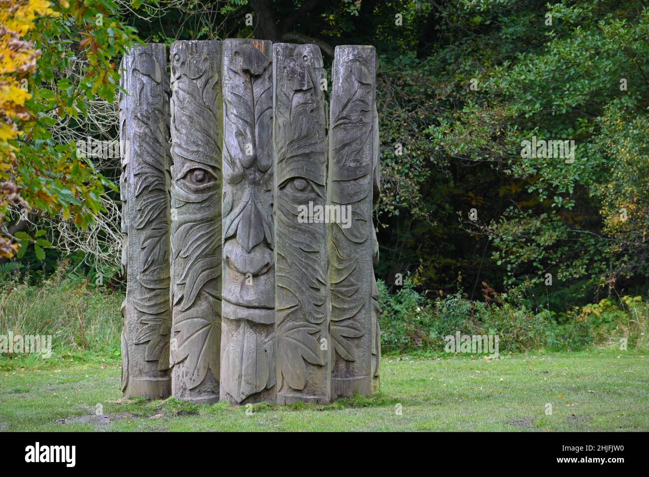 Wooden carving in Hamsterley Forest Stock Photo