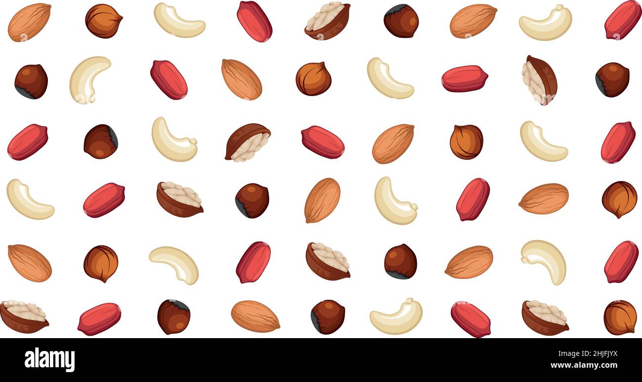 Panoramic walnut pattern, different varieties of nuts - Vector illustration Stock Vector