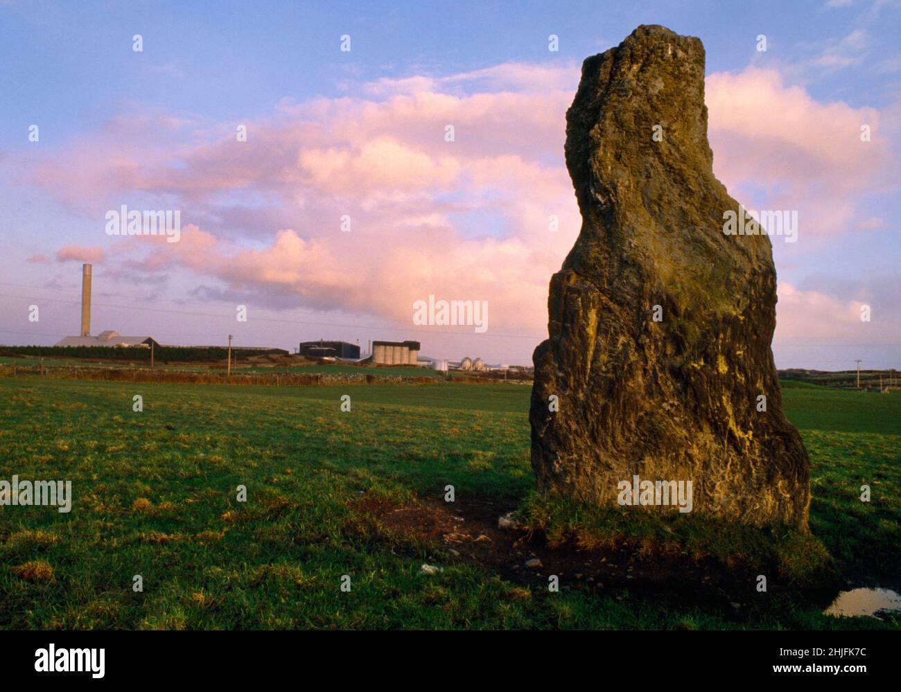 View S of the Ty Mawr Bronze Age standing stone, 640m NW of Trefignath burial chamber, Holyhead, Anglesey, Wales, UK. Now in Parc Cybi retail park. Stock Photo