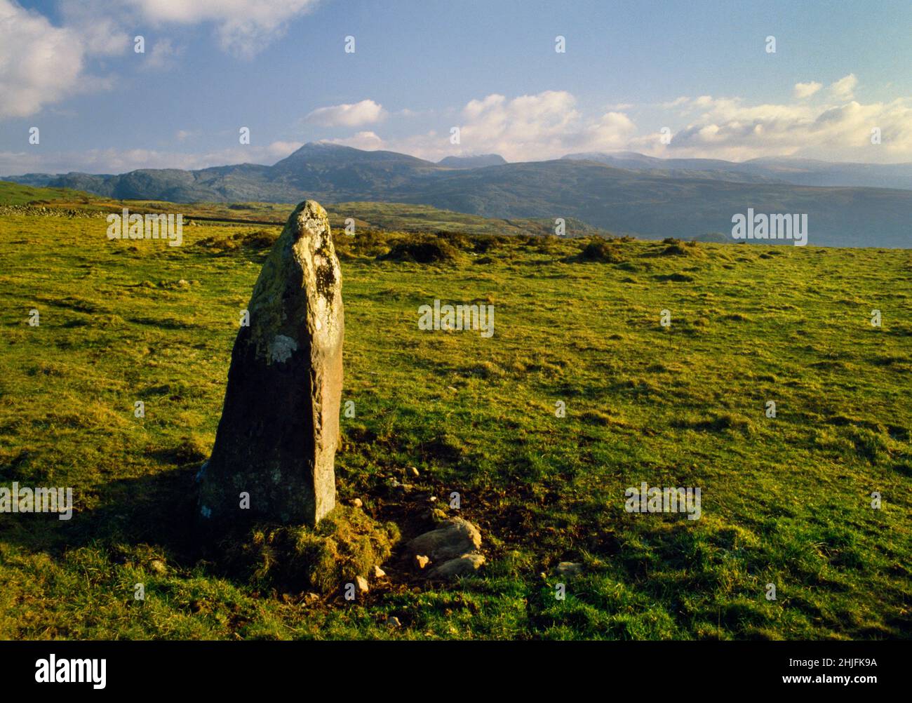 Looking SE at Carreg standing stone & ruined cairn (rear) near Moel  Goedog above Harlech, Gwynedd, Wales, UK, to the mountains of Ardudwy (Rhinogs). Stock Photo