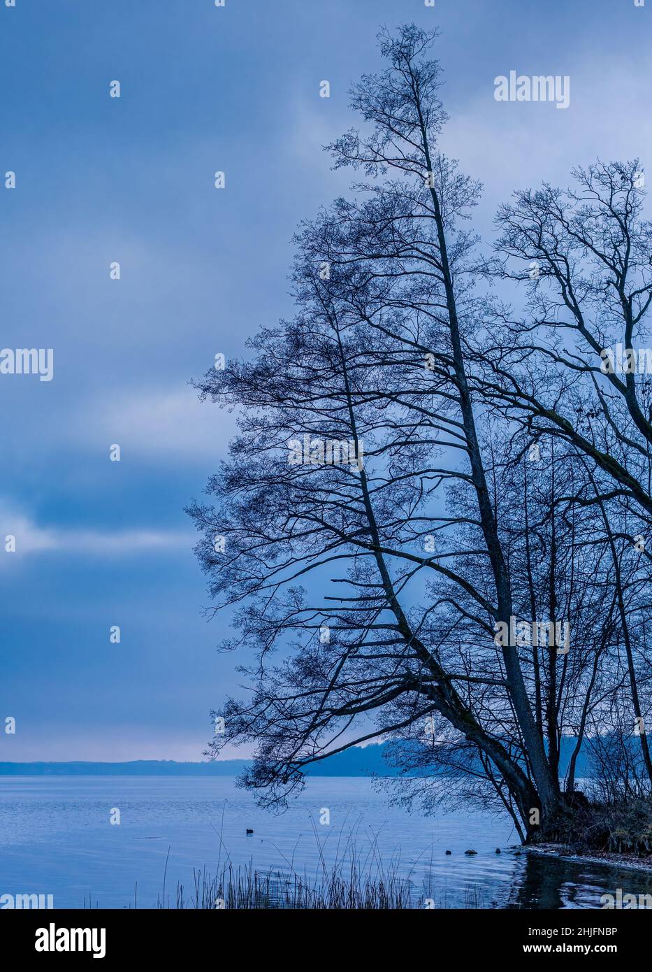 Cold Winter evening at Starnberger See, Stegen, Fuenfseenland, Upper Bavaria, Bavaria, Germany, Europe Stock Photo