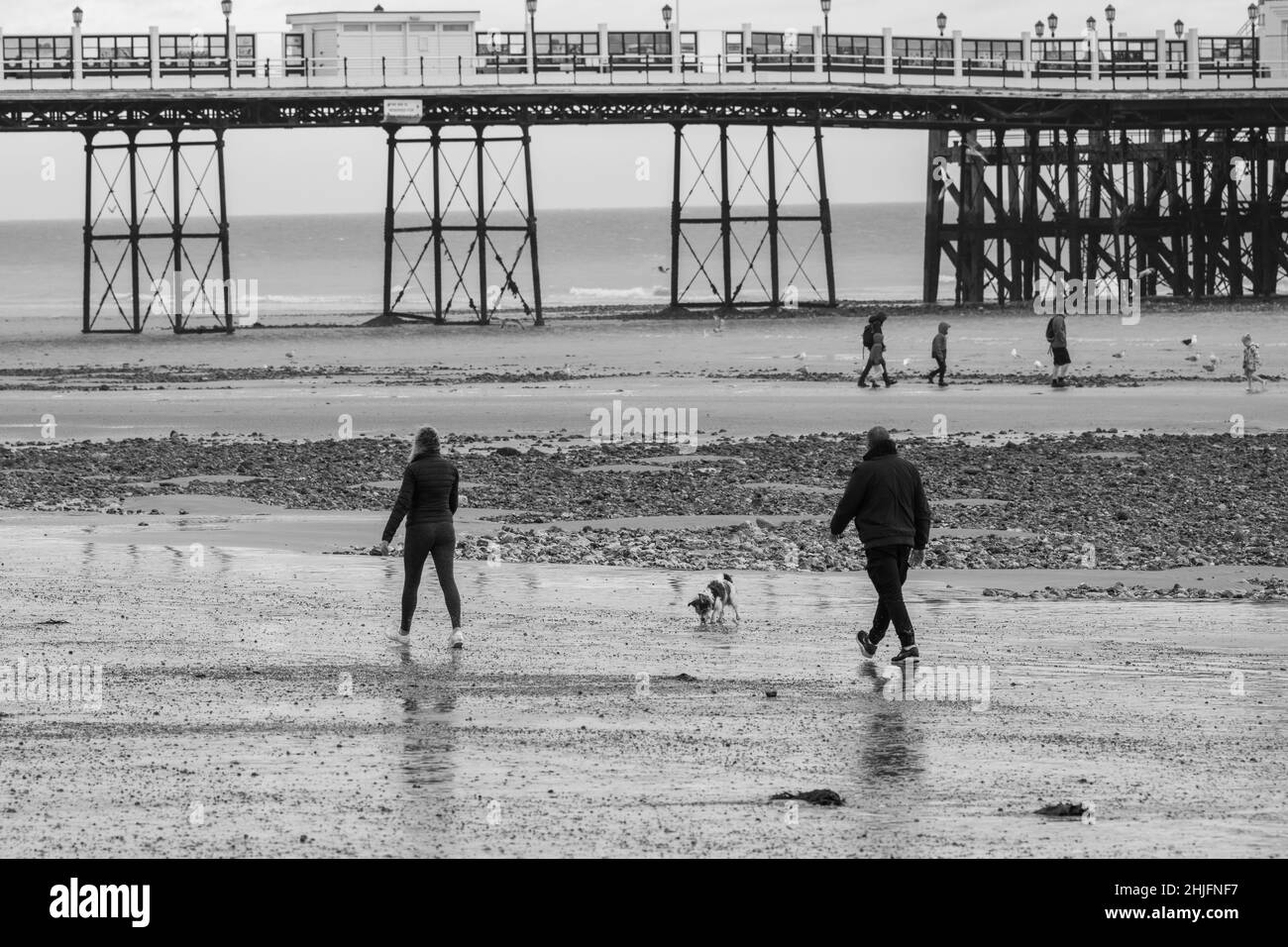 Dog Wakers on Worthing Beach, West Sussex Stock Photo