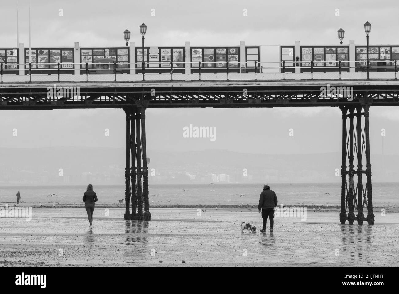 Dog Wakers on Worthing Beach, West Sussex Stock Photo