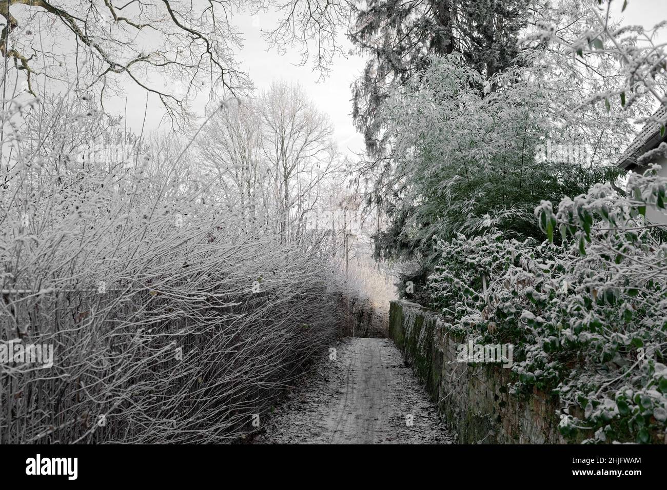 Wintery path in a village Stock Photo
