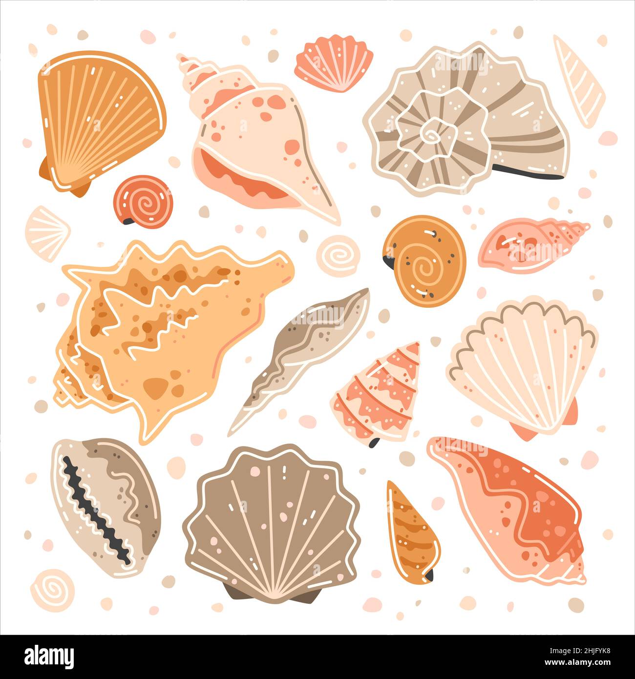 Set of multicolored sea shells. Vector flat illustration collection Stock Vector