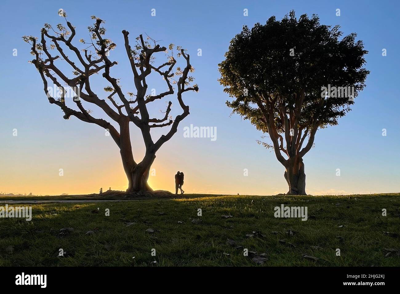 San Diego, California, USA. 06th Jan, 2022. A couple shares a moment under coral trees at the Embarcadero Marina Park at sunset on January 6, 2022, in San Diego, California. (Credit Image: © David Becker/ZUMA Press Wire) Stock Photo