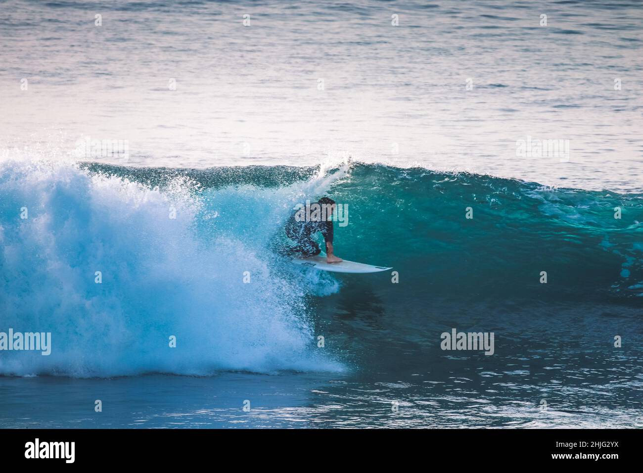 Surfer in a perfect barrel wave Stock Photo