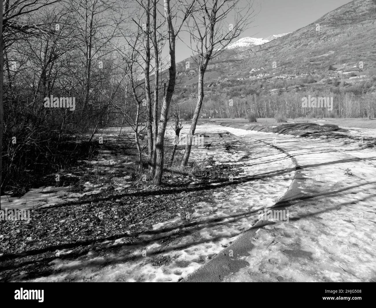 road in the woods forest and trees in winter in black and white Stock ...