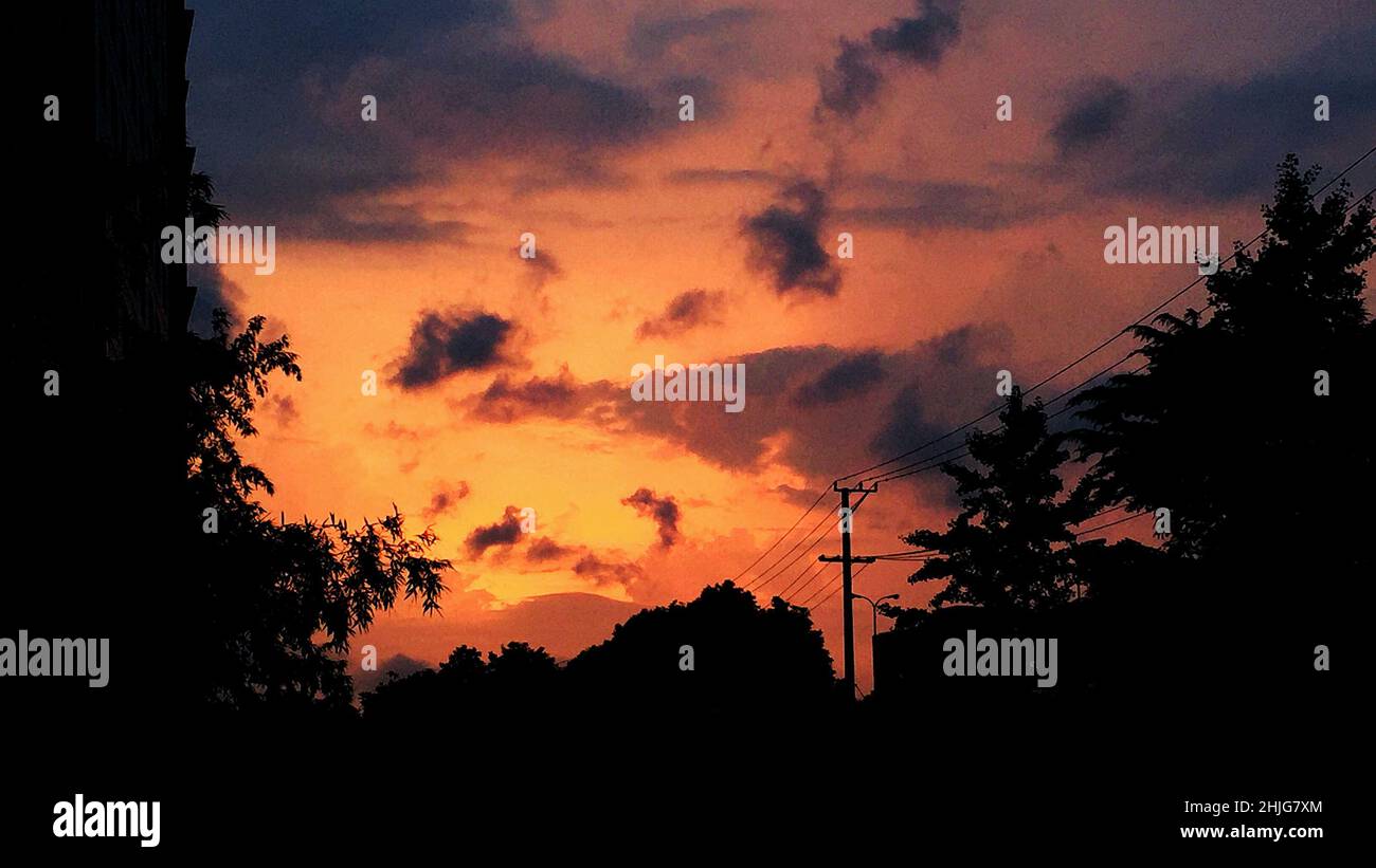 A silhouette of trees and electric poles on the sunset Stock Photo - Alamy