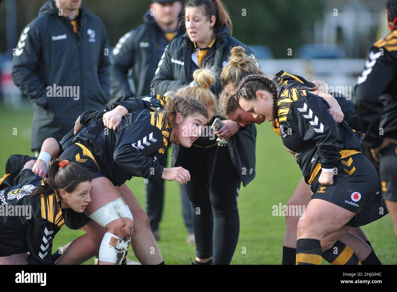 London, UK. 29th Jan, 2022. London, January 28th 2022 Wasps Warm Up During the Allianz Premier 15s game between Wasps Women & Exeter Chiefs at Twyford Avenue Sports Ground in London, England Karl W Newton/Sports Press Photo Credit: SPP Sport Press Photo. /Alamy Live News Stock Photo