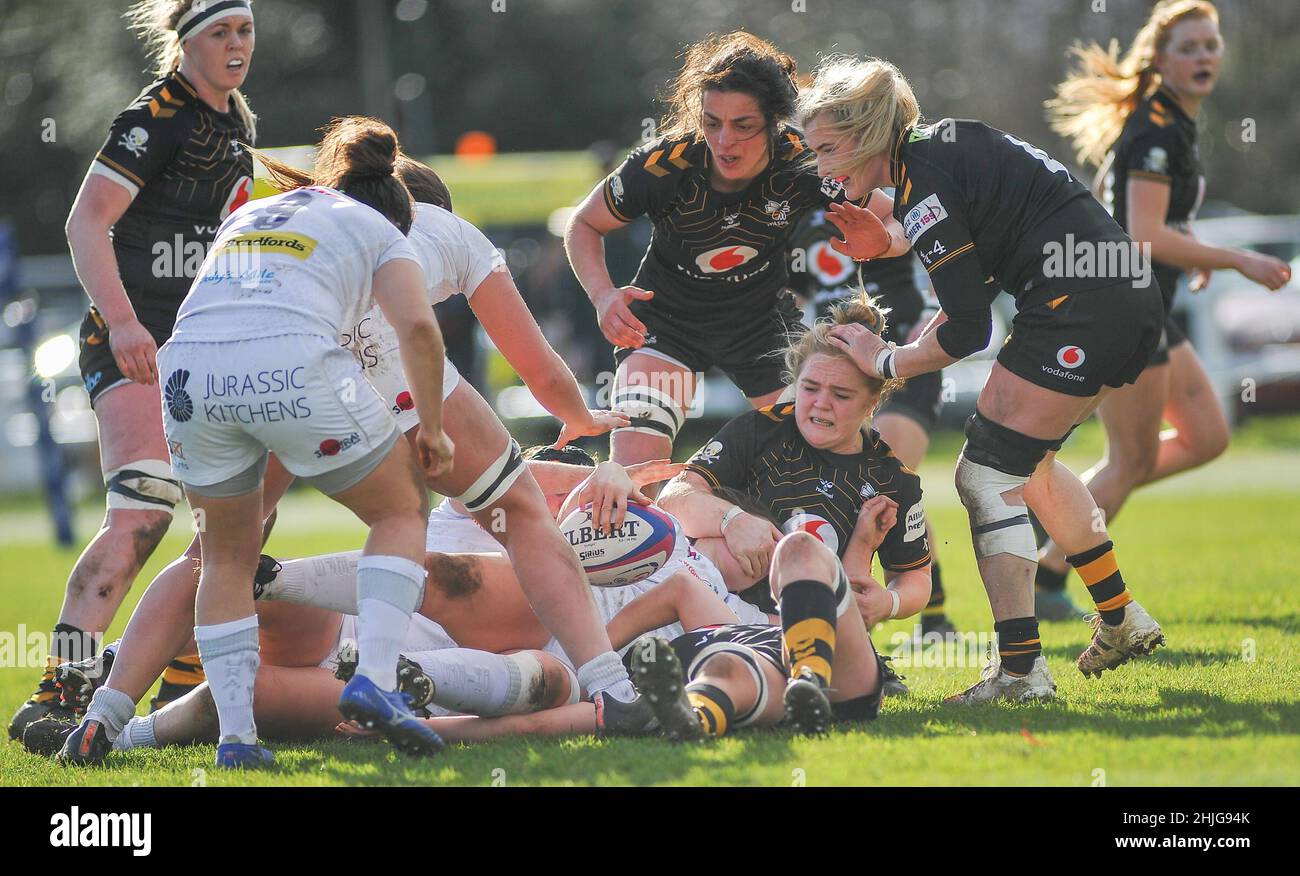 London, UK. 29th Jan, 2022. London, January 28th 2022 Wasps and Exeter players battle for the ball During the Allianz Premier 15s game between Wasps Women & Exeter Chiefs at Twyford Avenue Sports Ground in London, England Karl W Newton/Sports Press Photo Credit: SPP Sport Press Photo. /Alamy Live News Stock Photo