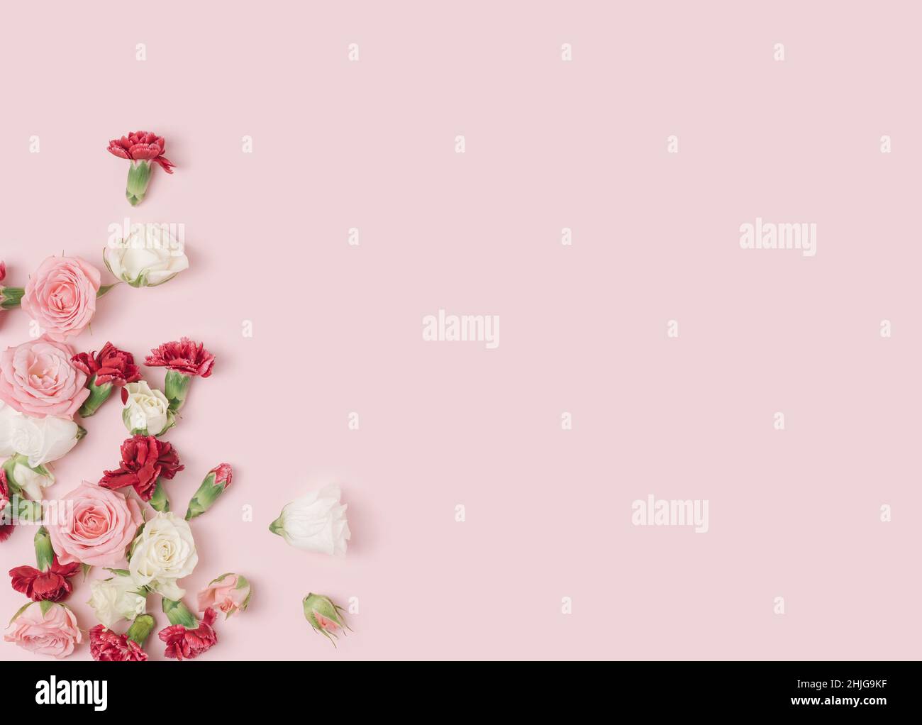 Various spring flowers spilled on a pastel pink background. Natural springtime conceptual template. Stock Photo