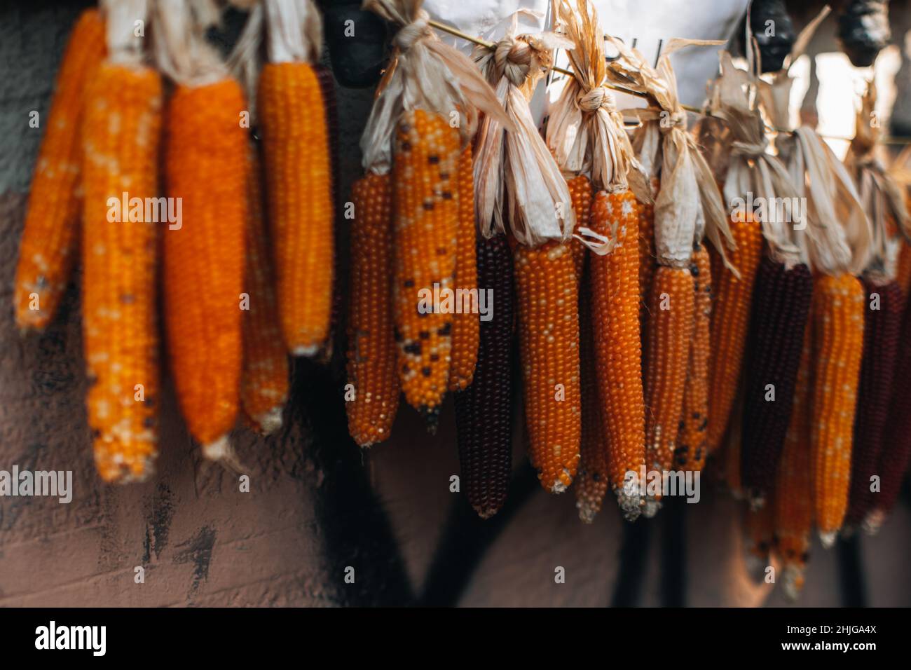 Hanging of a rope hi-res stock photography and images - Alamy
