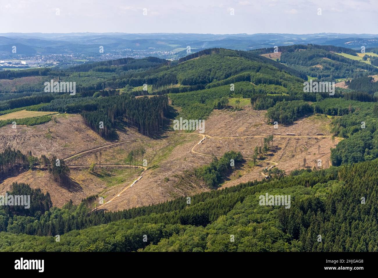 Aerial photograph, forest area with forest damage at Habbecker Berg, Frielentrop, Finnentrop, Sauerland, North Rhine-Westphalia, Germany, tree death, Stock Photo