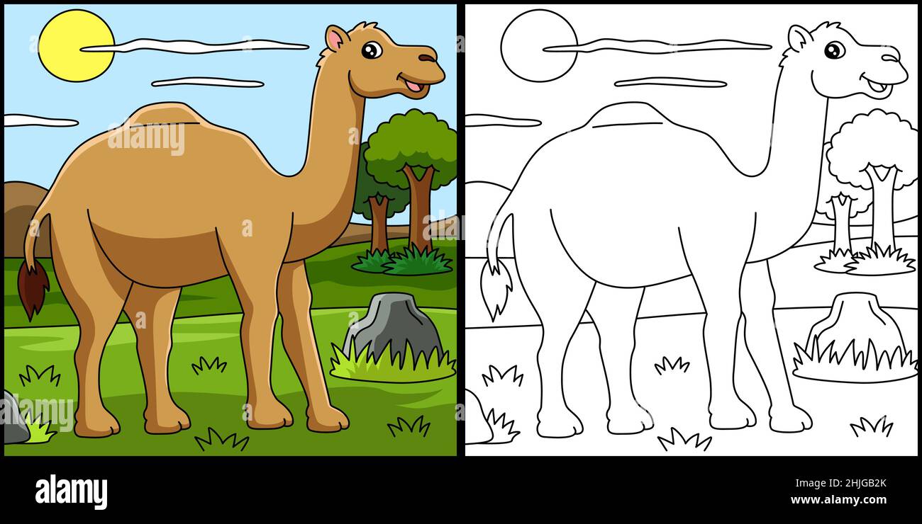 Dromedary Coloring Page Vector Illustration Stock Vector