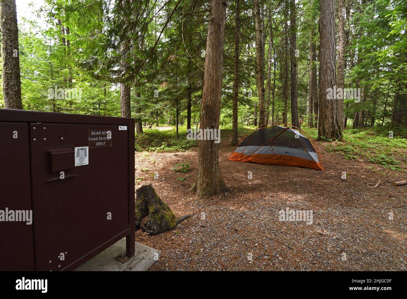 Bear boxes bear resistant food storage containers for campers in campsite  Yosemite National Park California USA Stock Photo - Alamy