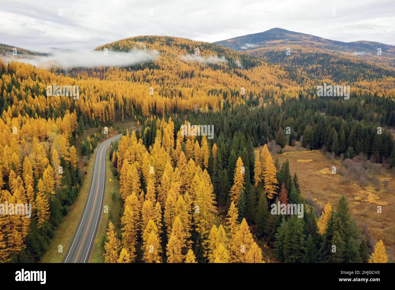 Aerial view Yaak River Road and western larch in prime fall color. Yaak Valley, northwest Montana. (Photo by Randy Beacham) Stock Photo
