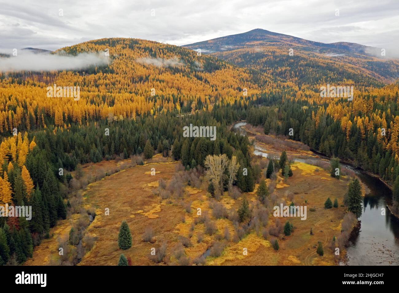 Aerial view of the Yaak River and western larch in fall. Yaak Valley, northwest Montana. (Photo by Randy Beacham) Stock Photo