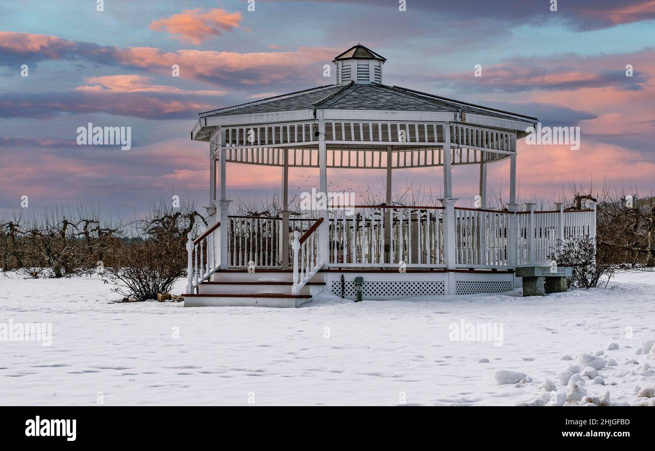 Se Permiten Perros En Sholan Farm Leominster Ma