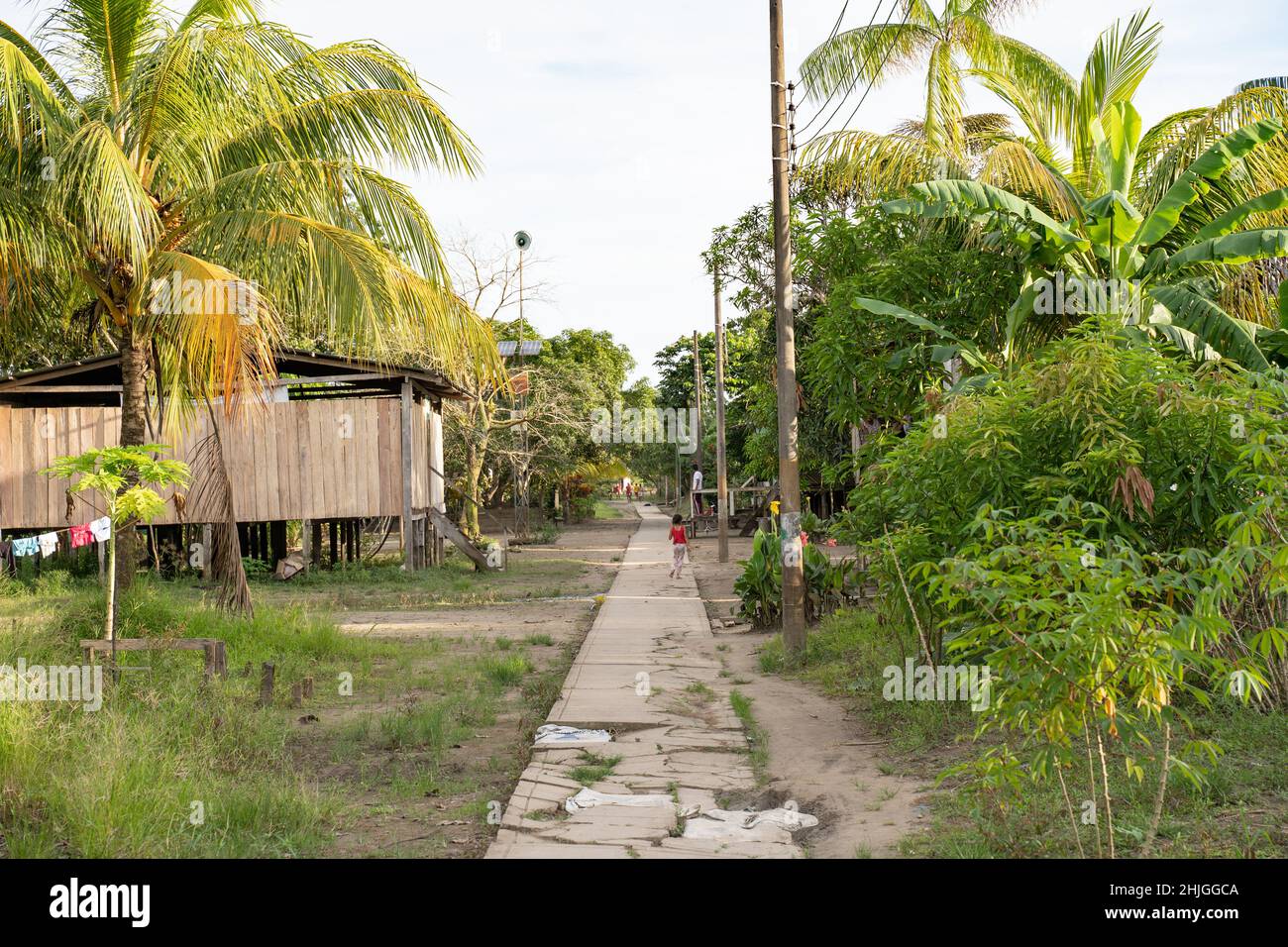 Typical architecture of Puerto Alegria village Puerto Alegria village