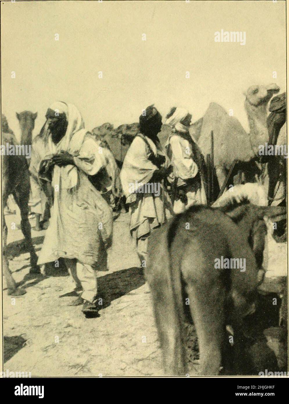 'The gateway to the Sahara; observations and experiences in Tripoli' (1909) Stock Photo