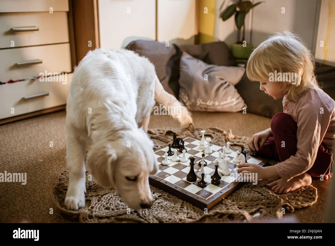 Dou Shou Qi (Jungle Game or Animal Chess) set.JPG