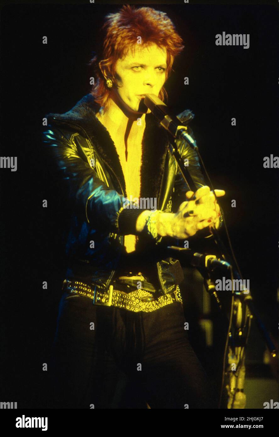 David Bowie Ziggy Stardust Live