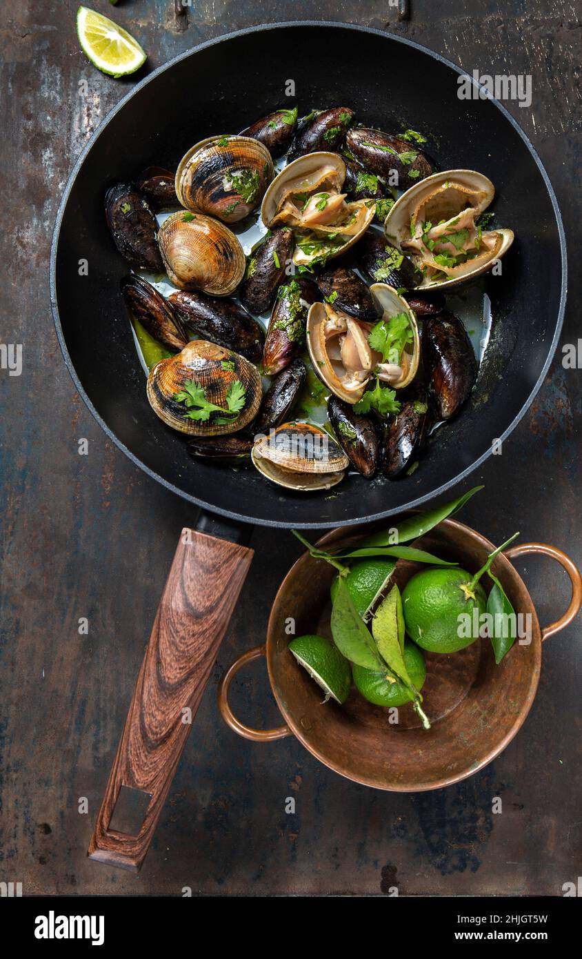 Clams and mussels in pan with beer. Metal background Stock Photo Alamy