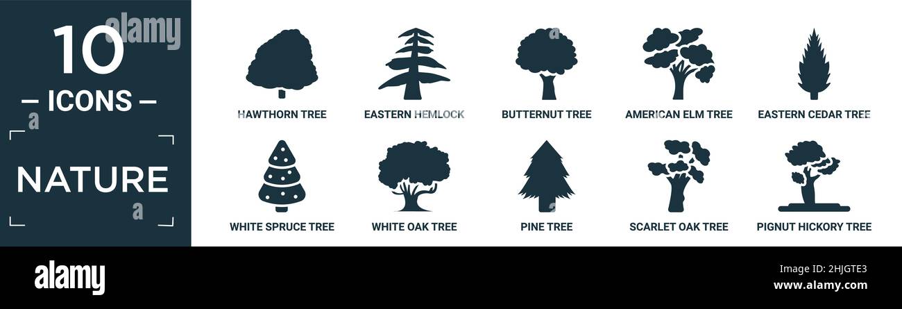 filled nature icon set. contain flat hawthorn tree, eastern hemlock tree, butternut tree, american elm eastern cedar white spruce white oak pine scarl Stock Vector