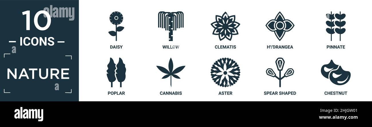 filled nature icon set. contain flat daisy, willow, clematis, hydrangea, pinnate, poplar, cannabis, aster, spear shaped, chestnut icons in editable fo Stock Vector