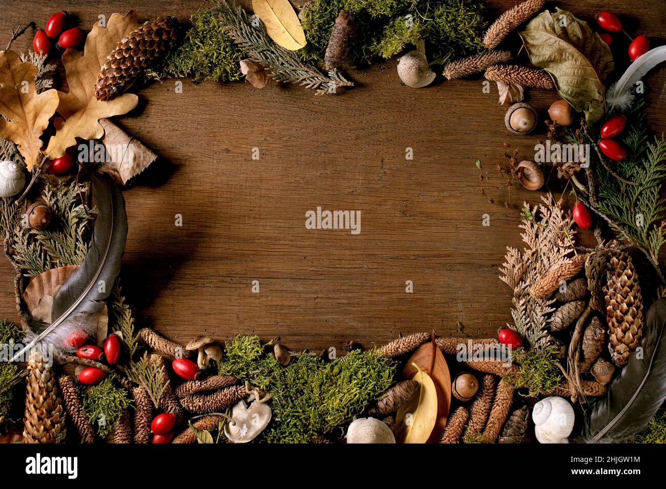 Fairy tale ambiance magic autumnal forest background. Autumn leaves, moss, fir cones, snail shell, feather over wooden surface. Creative alyout. Frame Stock Photo