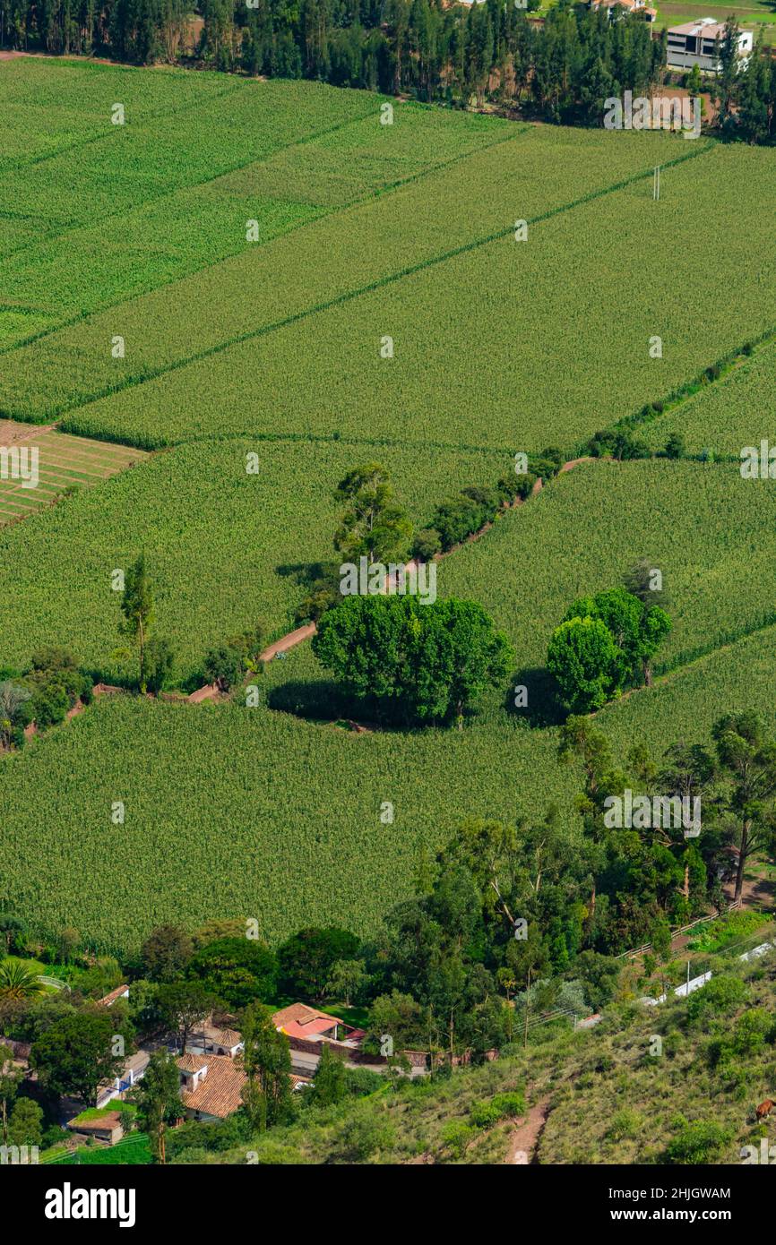 Aerial beautiful landscape view of green grass fields and green meadows ...