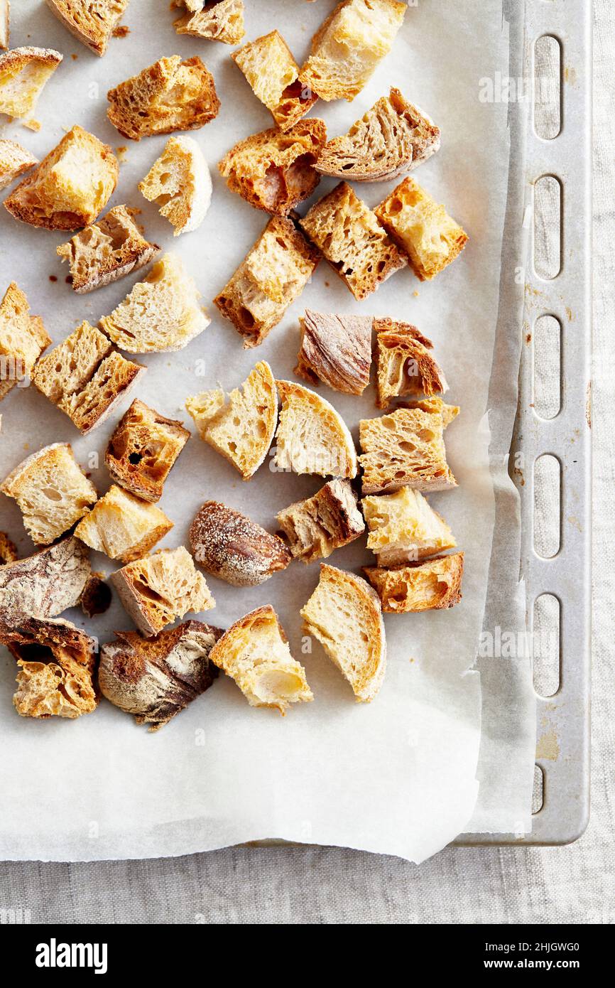 Roasted bread cubes on a baking tray Stock Photo