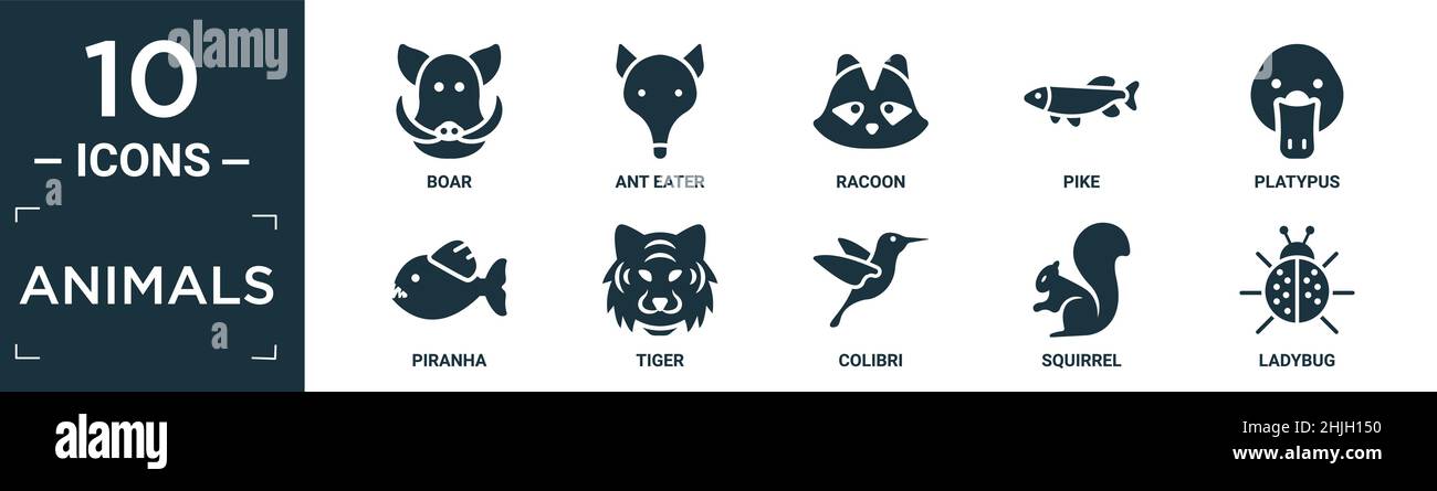 filled animals icon set. contain flat boar, ant eater, racoon, pike ...