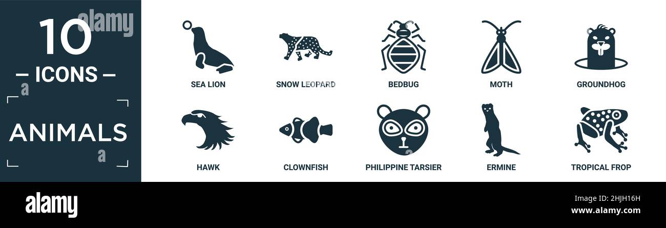 filled animals icon set. contain flat sea lion, snow leopard, bedbug, moth, groundhog, hawk, clownfish, philippine tarsier, ermine, tropical frop icon Stock Vector
