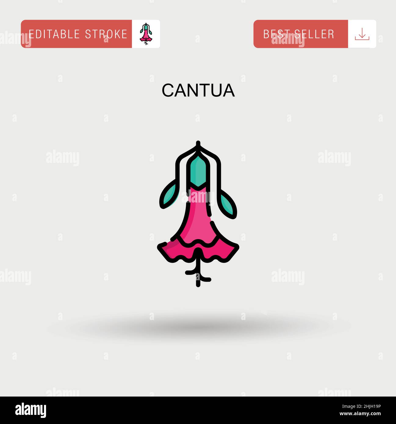 Cantua Simple vector icon. Stock Vector