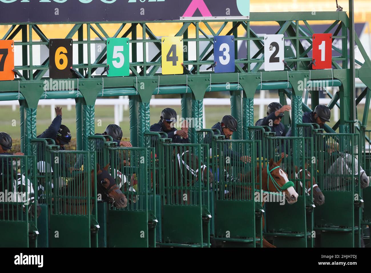 Hallandale, United States Of America. 29th Jan, 2022. HALLANDALE, FL - JANUARY 29: Jockey Irad Ortiz Jr. gives Life is Good a congratulatory pat on his way to victory in the Pegasus World Cup Invitational Stakes at Gulfstream Park on January 29, 2022 in Hallandale, Florida. People: Irad Ortiz Jr, Life is Good Credit: Storms Media Group/Alamy Live News Stock Photo