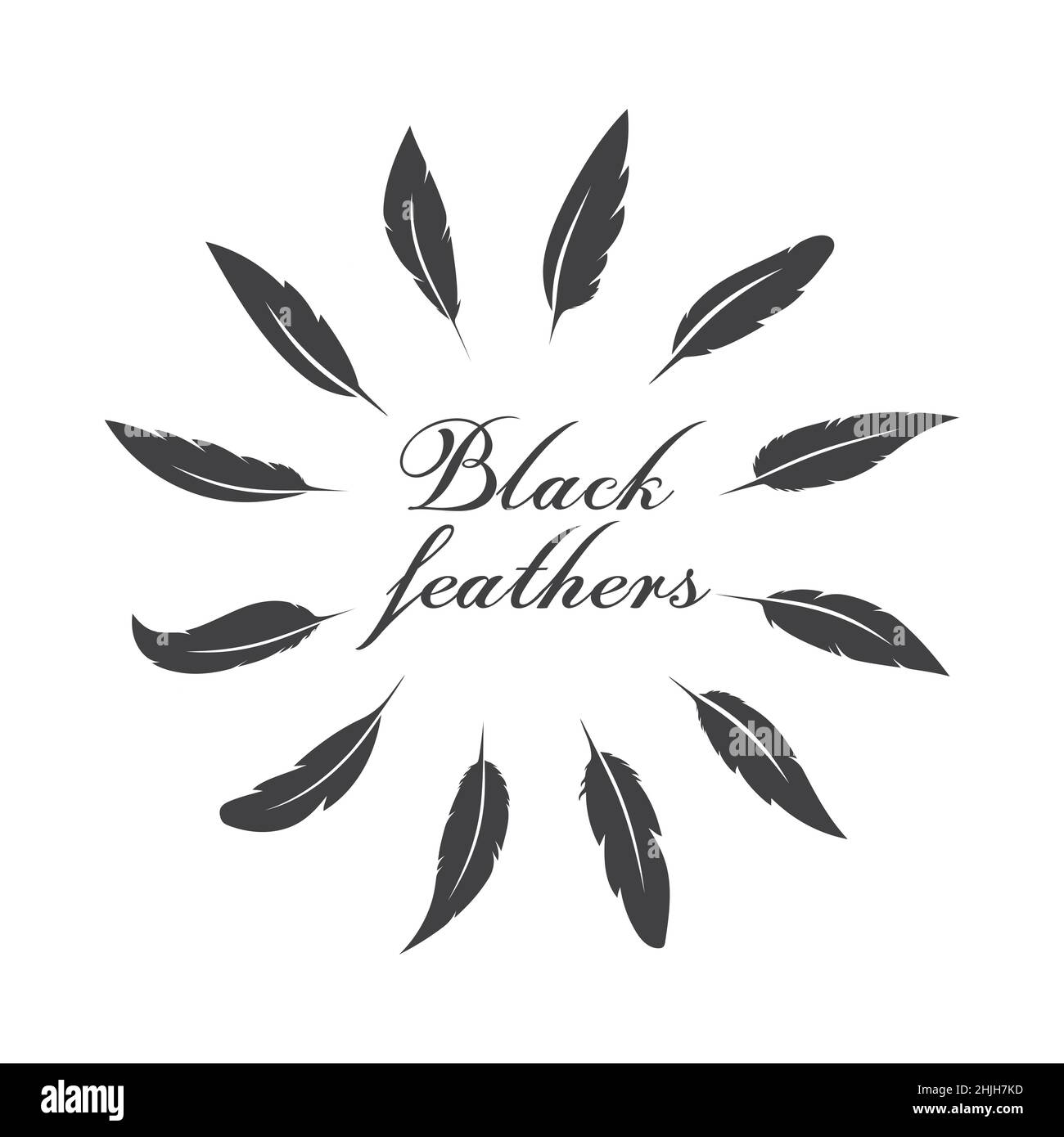 Vector group of black feather on white background. Easy editable
