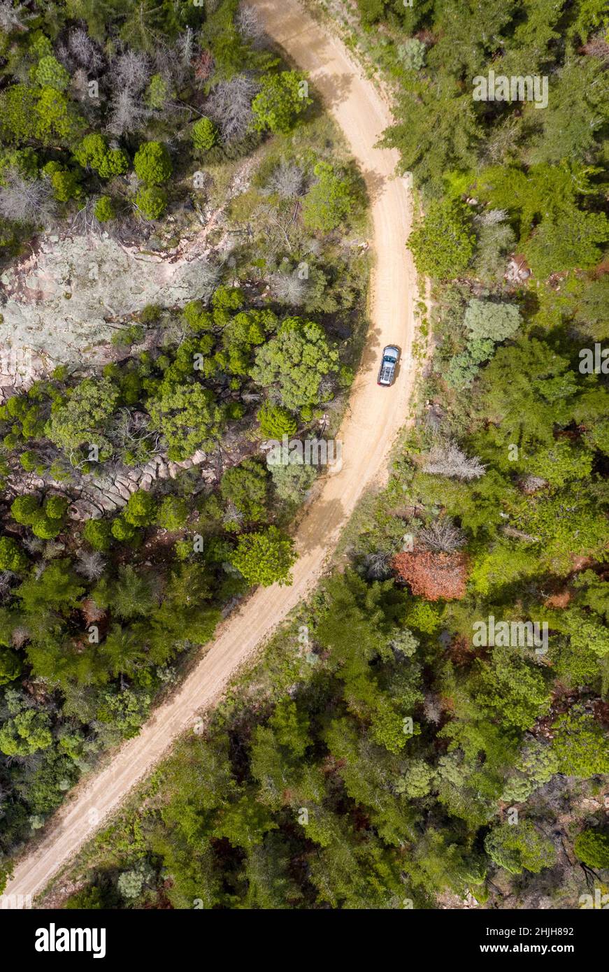 Beautiful aerial view of a country road in a forest. Stock Photo