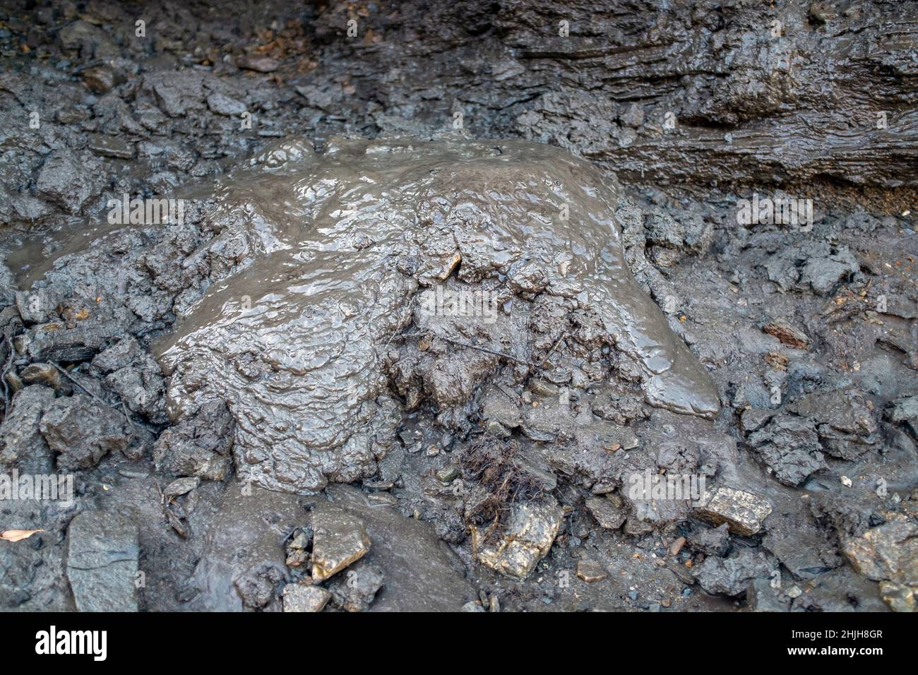 Melted permafrost flowing away as muck ontop of beadrock. Stock Photo