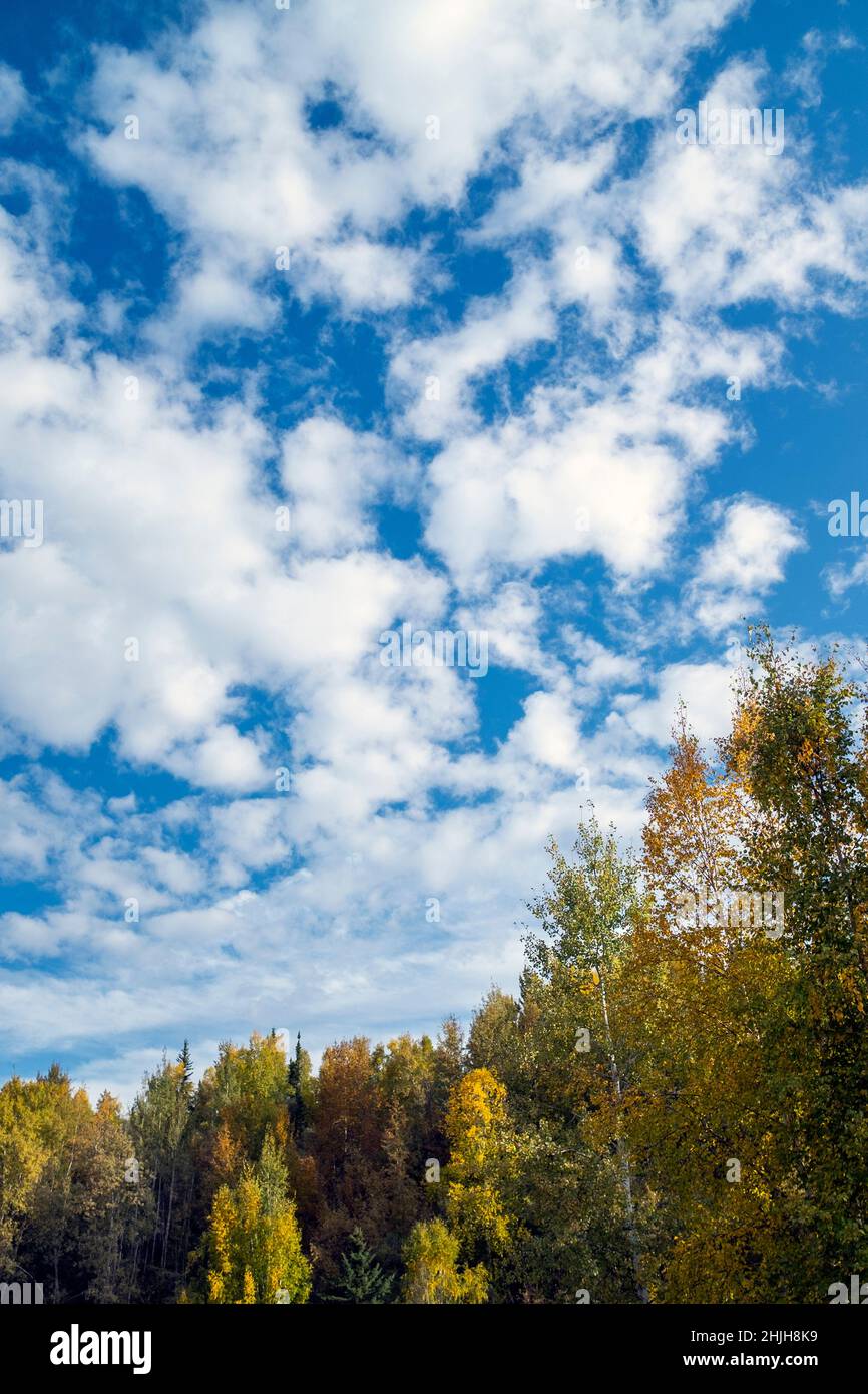 Light cloud hi-res stock photography and images - Alamy